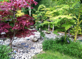 Il giardino roccioso 797 0 100 Il giardino roccioso